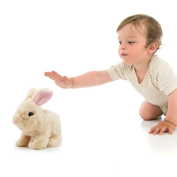 PUGS AT PLAY Cookie Jumping Rabbit