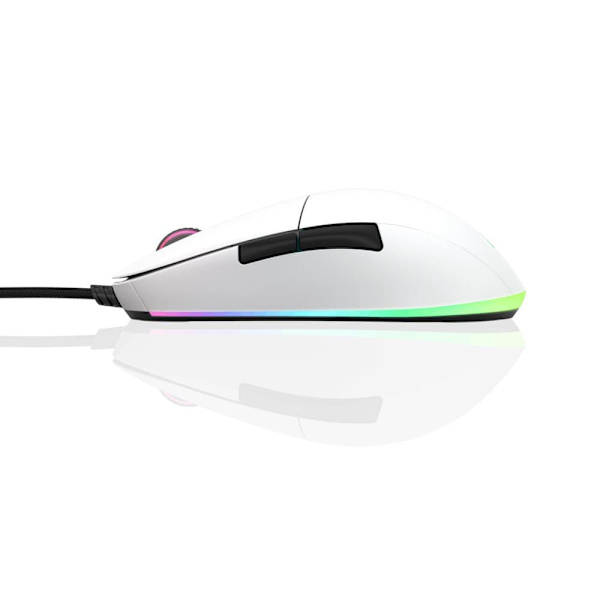 Endgame Gear XM1 RGB mouse Gaming Right-hand USB Type-A Optical 16000 DPI