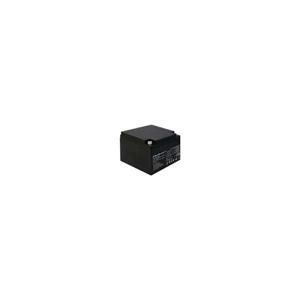 Qoltec 53036 AGM battery | 12V | 24Ah | max 360A