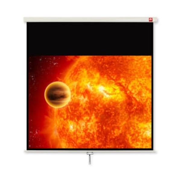 Avtek International Video 200 projection screen 4:3