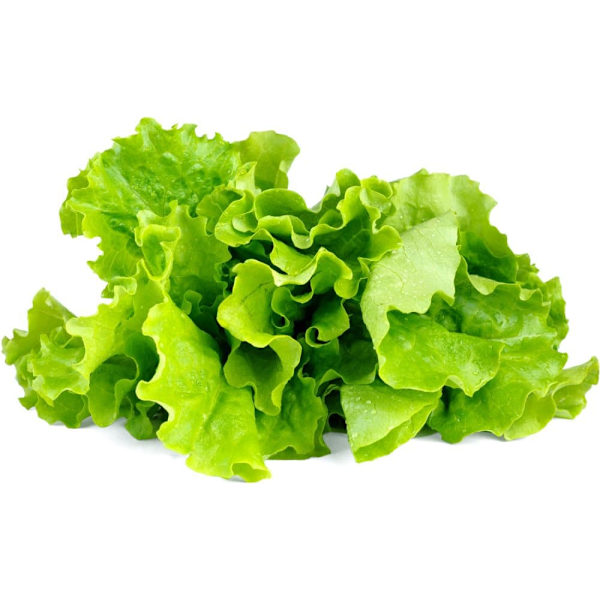 Click & Grow Smart Garden refill Lettuce 3pcs