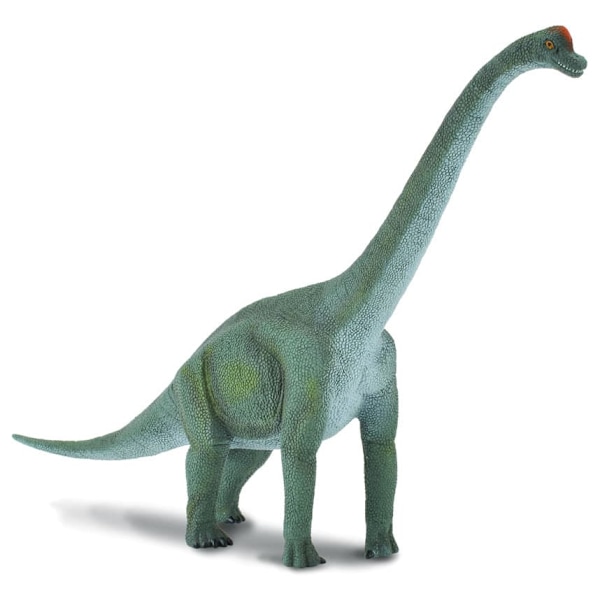 COLLECTA (L) Brachiosaurus 88121