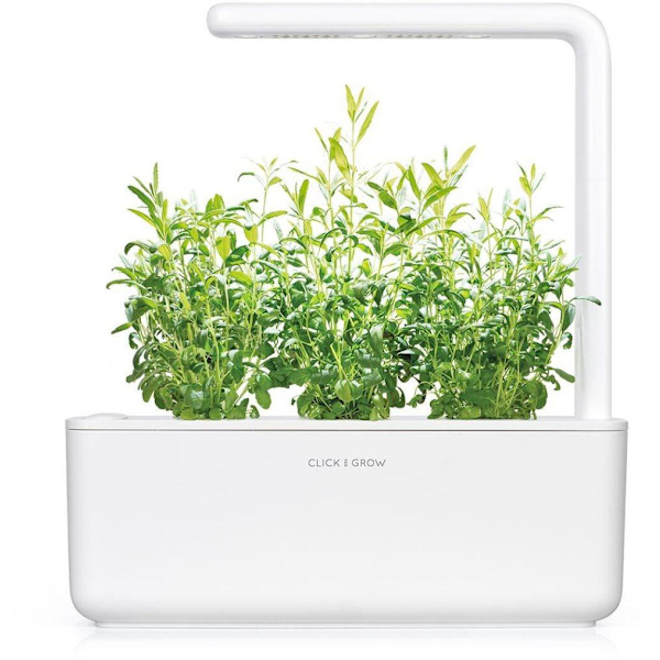 Click & Grow Smart Garden refill Hyssop 3pcs