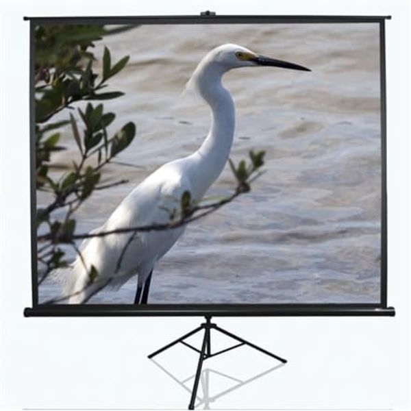 Elite Screens | Tripod Series | T120UWV1 | Diagonal 120 " | 4:3 | Viewable screen width (W) 244 cm | Black Sort