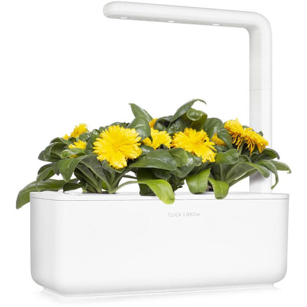 Click & Grow Smart Refill Marigold 3pcs