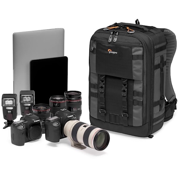 Lowepro backpack Pro Trekker BP 350 AW II, grey (LP37268-GRL)