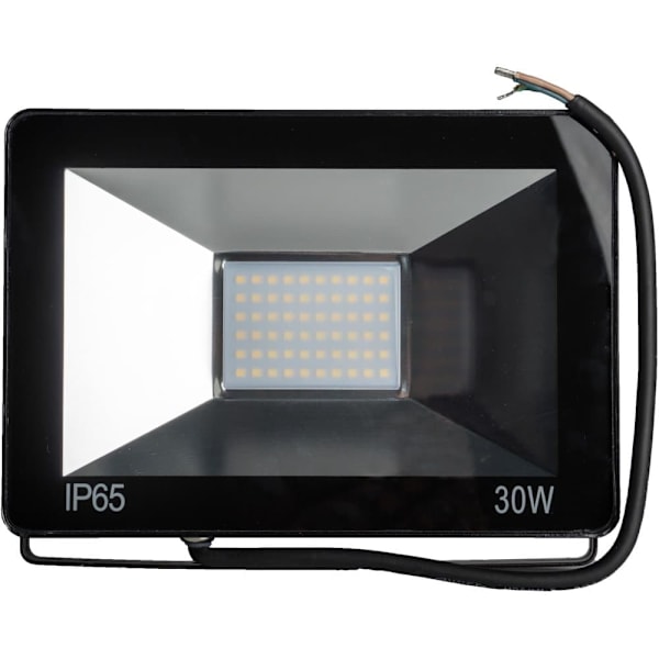 Omega LED floodlight 30W 4200K (43861)