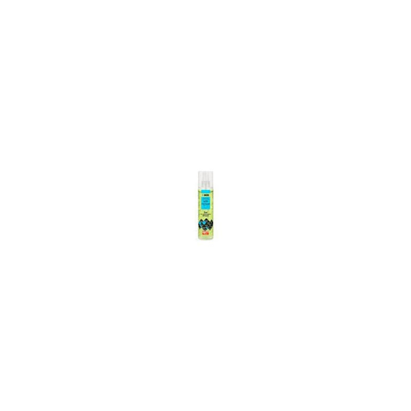 iBox CHGG2 all-purpose cleaner 250 ml Gel