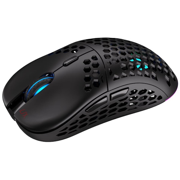 Endorfy Mouse LIX Wireless - Black