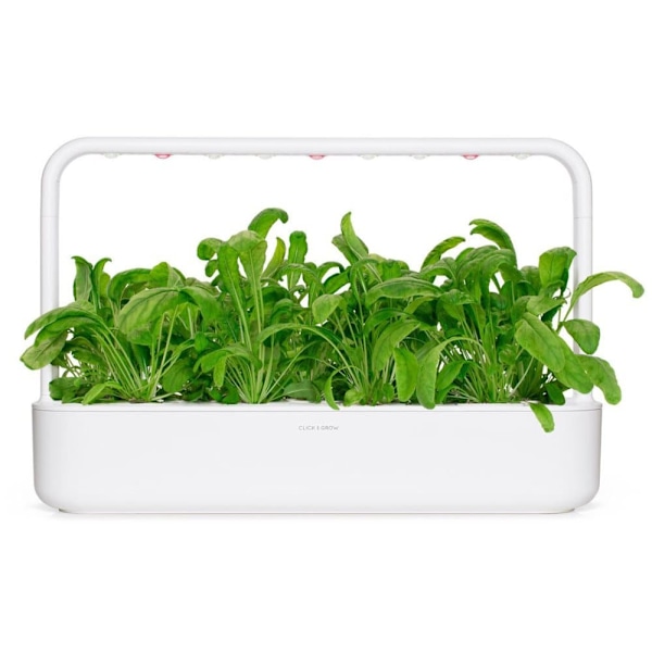 Click & Grow Smart Garden refill Mibuna 3pcs