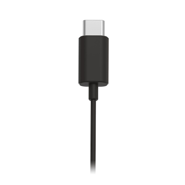 PHILIPS InEar Headphones black USB-C