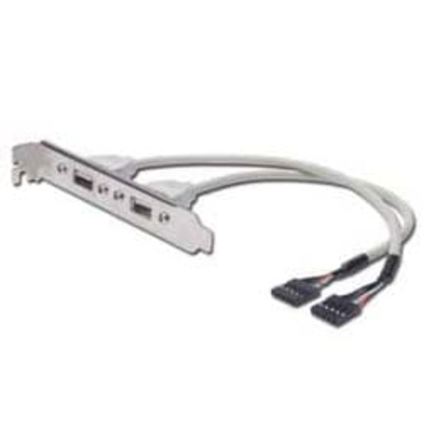 DIGITUS USB-Slotblechkabel - 2x USB Type-A/2x IDC (5-pin) - 25 cm