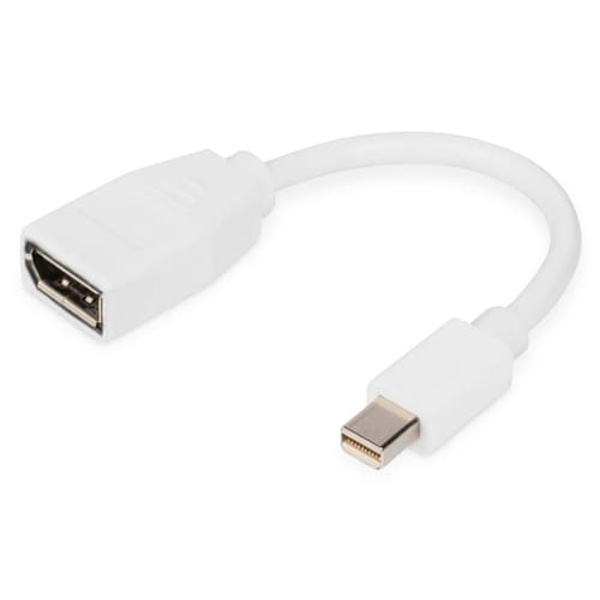 DIGITUS adapter cable DB-340405-001-W - Mini DisplayPort / DisplayPort - 15 cm