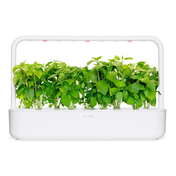 Click & Grow Smart Garden refill Cinnamon Basil 3pcs