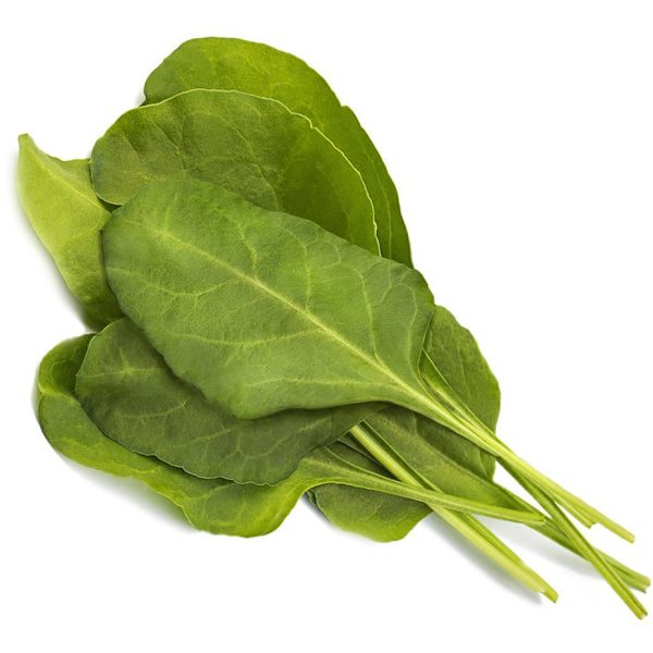 Click & Grow Smart Garden refill Green Chard 3pcs