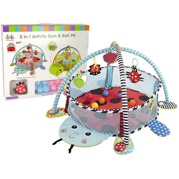 Ladybug Educational Mat Playpen Balls For Baby