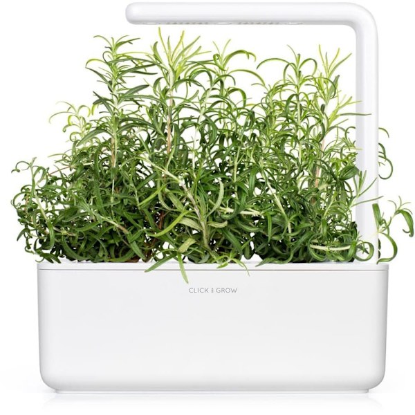 Click & Grow Smart Garden refill Rosemary 3pcs