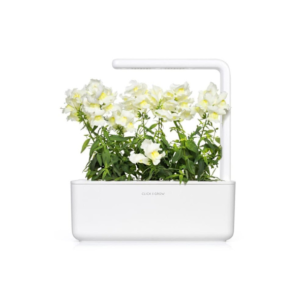 Click & Grow Smart Refill White Snapdragon 3pcs
