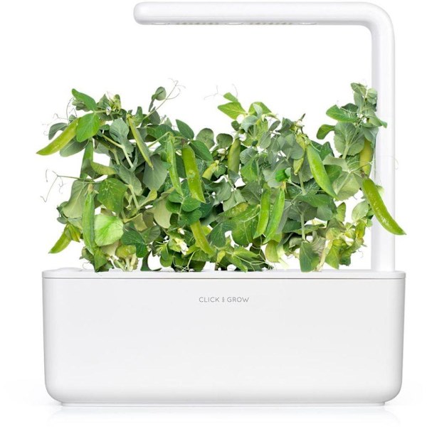 Click & Grow Smart Garden refill Dwarf Pea 3pcs