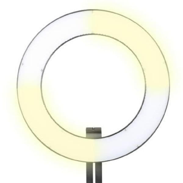 Falcon Eyes LED ring light Bi-Color DVR-384DVC