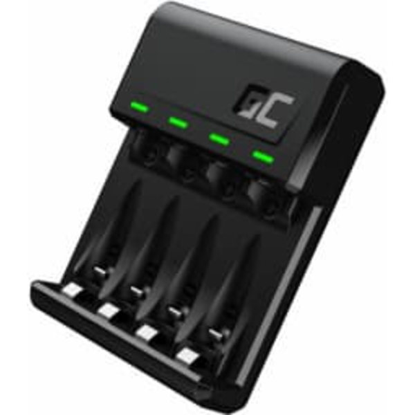 Green Cell GC VitalCharger Household battery USB Sort