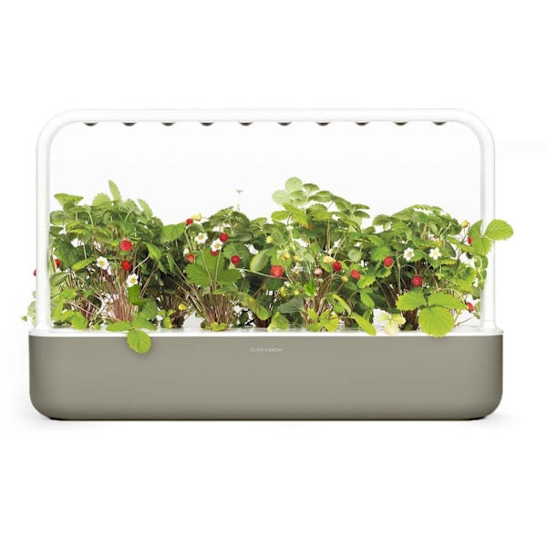 Click & Grow Smart Garden 9, beige