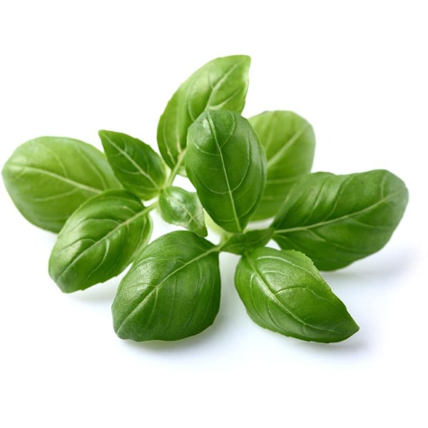 Click & Grow Smart Garden refill Basil 3pcs