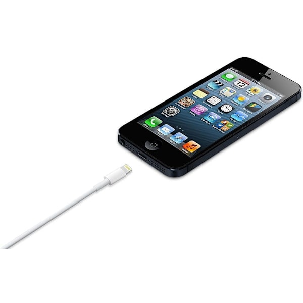 Apple Lightning to USB Cable (0.5 m)