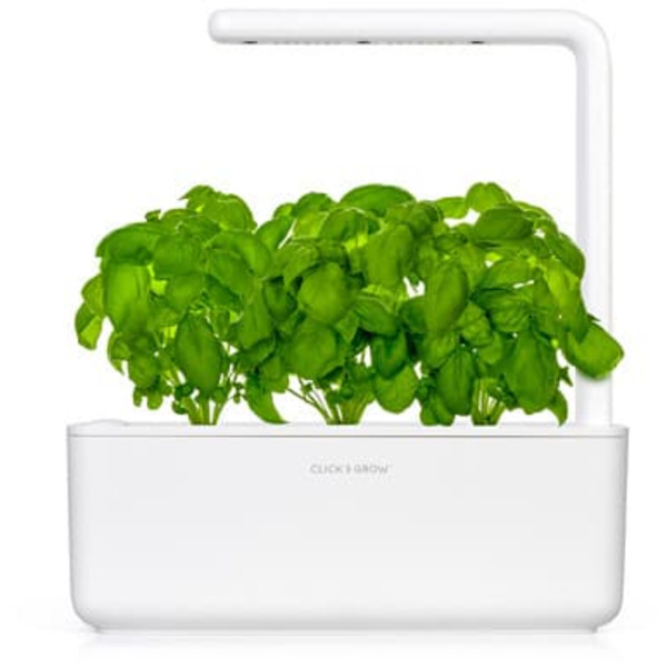 Click & Grow Smart Garden refill Basil 3pcs