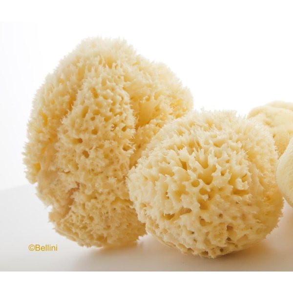 Babù® sponge natural nr.12