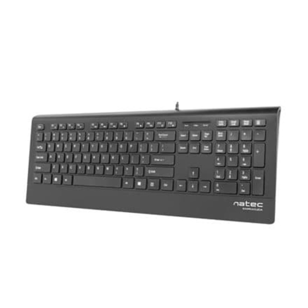 Natec Keyboard, Barracuda, US Layout, Slim | Natec | Keyboard | Barracuda | Standard | Wired | US | Black | 529 g Svart