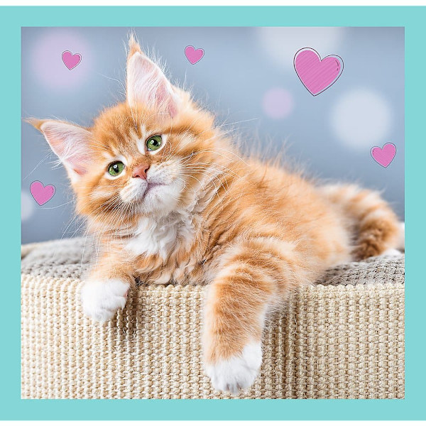 TREFL Puzzle 3 in 1 set Kittens