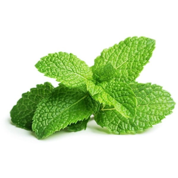 Click & Grow Smart Garden refill Peppermint 3pcs