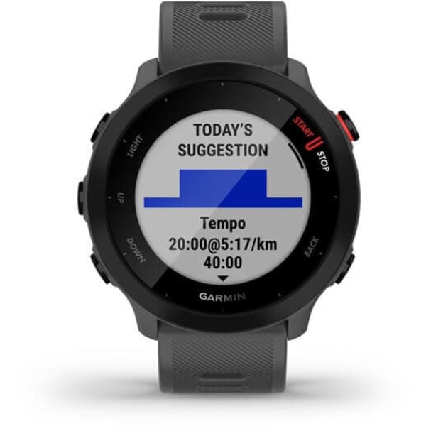 Garmin Forerunner 55 GPS, monterra grey