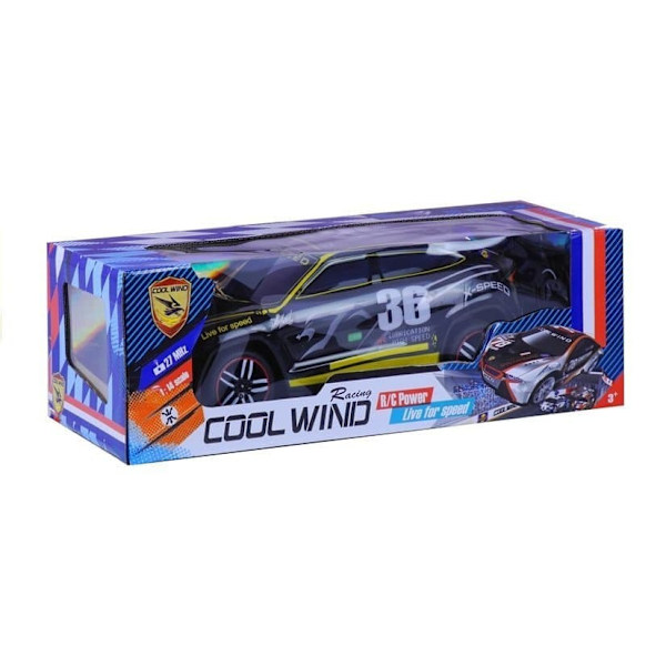 Racing Car R/C Remote Control Sport Car