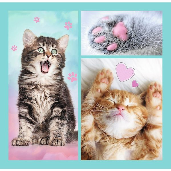 TREFL Puzzle 3 in 1 set Kittens