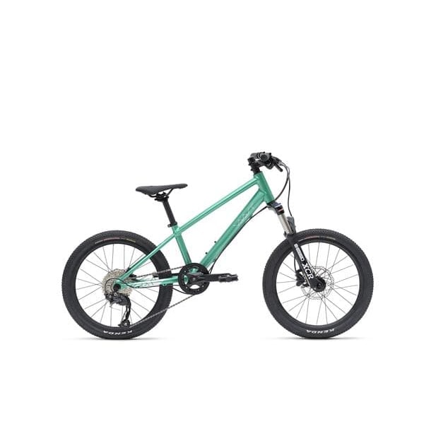 Vaast Y/1 MOUNTIAN bicycle, 20'', GLOSS TEAL