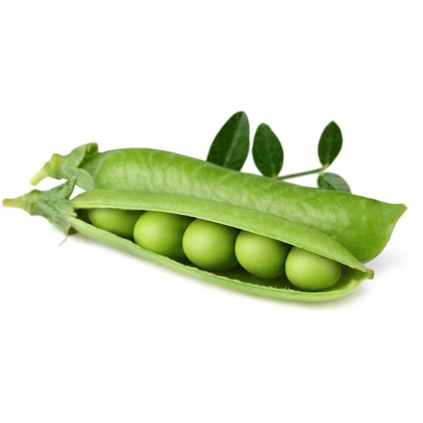 Click & Grow Smart Garden refill Dwarf Pea 3pcs