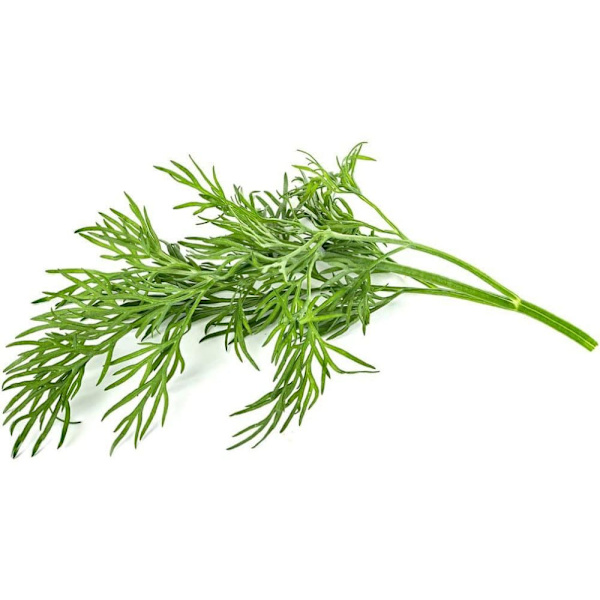 Click & Grow Smart Garden refill Dill 3pcs