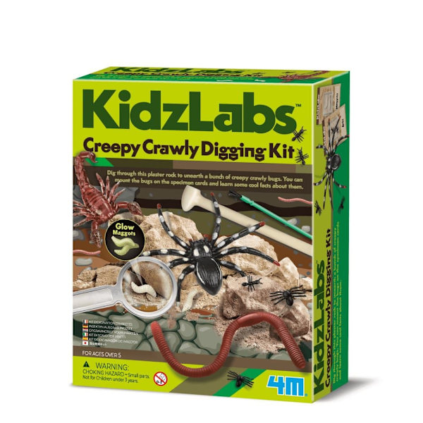 4M DIY set Creepy crawly digging