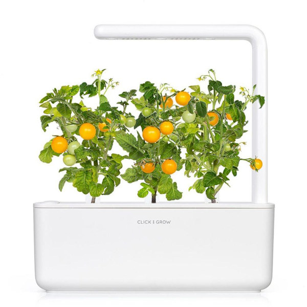 Click & Grow Smart Garden refill Yellow Mini Tomato 3pcs