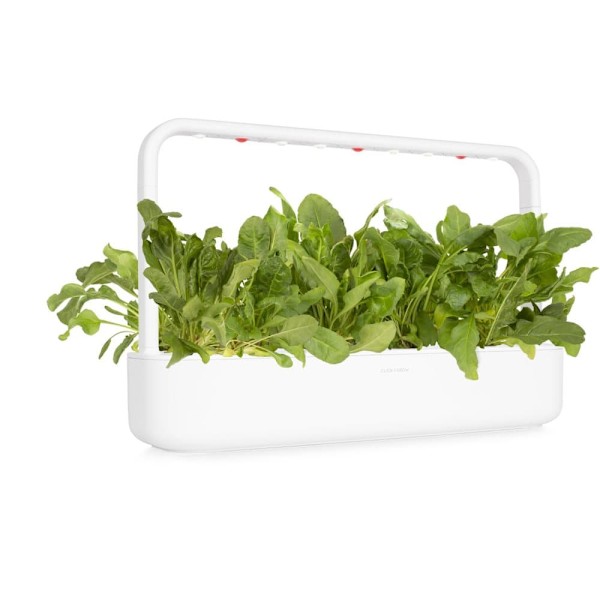 Click & Grow Smart Garden refill Green Chard 3pcs