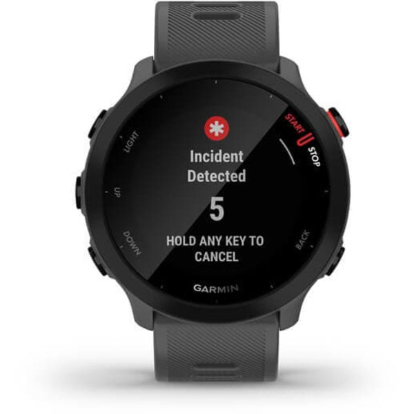 Garmin Forerunner 55 GPS, monterra grey