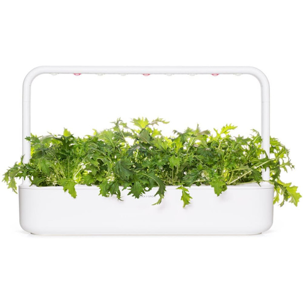 Click & Grow Smart Refill Mizuna 3pcs