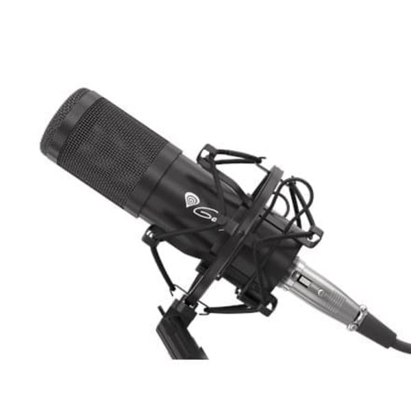 Genesis Radium 300 XLR