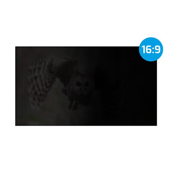 NATEC Owl Frameless display privacy filter 35.6 cm (14")