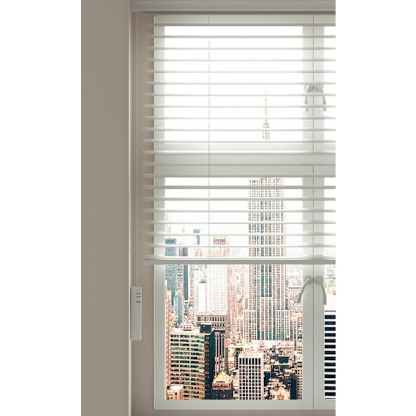 Aqara Roller Shade Driver E1 (HomeKit)