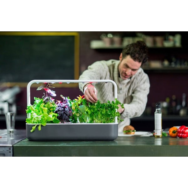 Click & Grow Smart Garden 9, grey