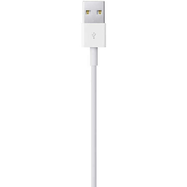 Apple Lightning to USB Cable (0.5 m)