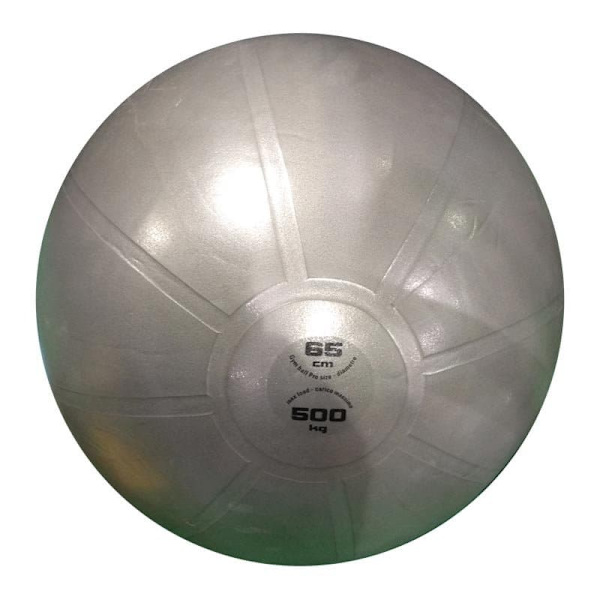 Gym ball TOORX PRO AHF148 D65cm grey